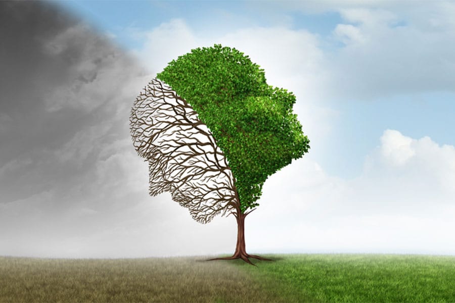 emotional intelligence